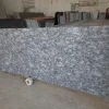 Cutterslab-Lot-.-1