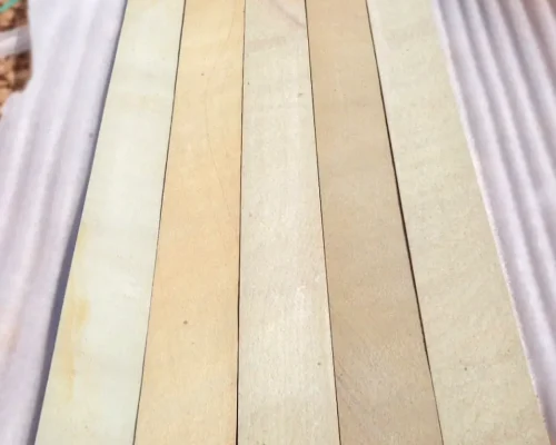 Yellow-Mint-Sandstone-Risers